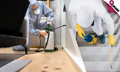 Professional Pest Control Services!